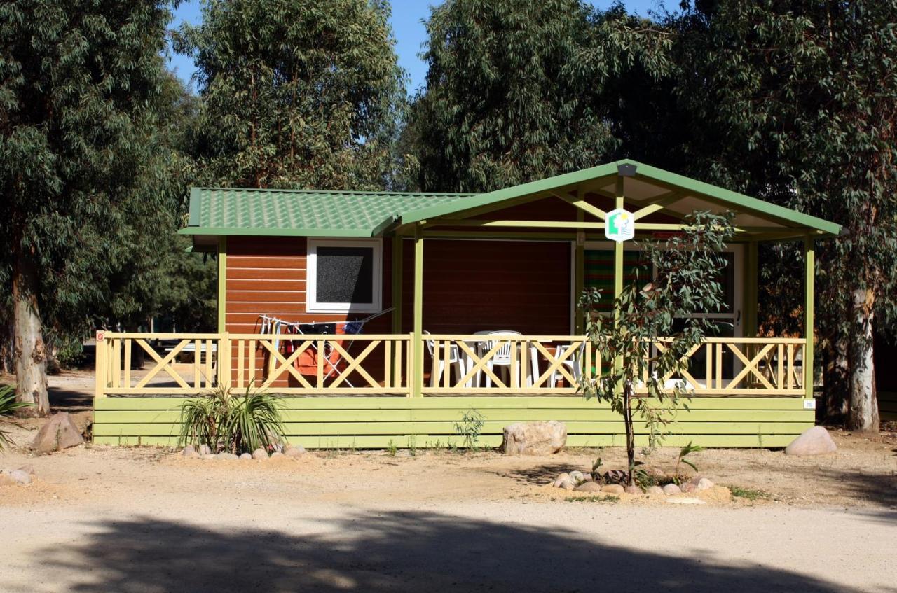 Camping La Pinede Кальви Экстерьер фото